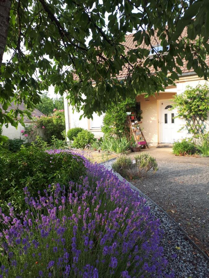 Chez Bea Lägenhet Saint-Ouen-en-Belin Exteriör bild